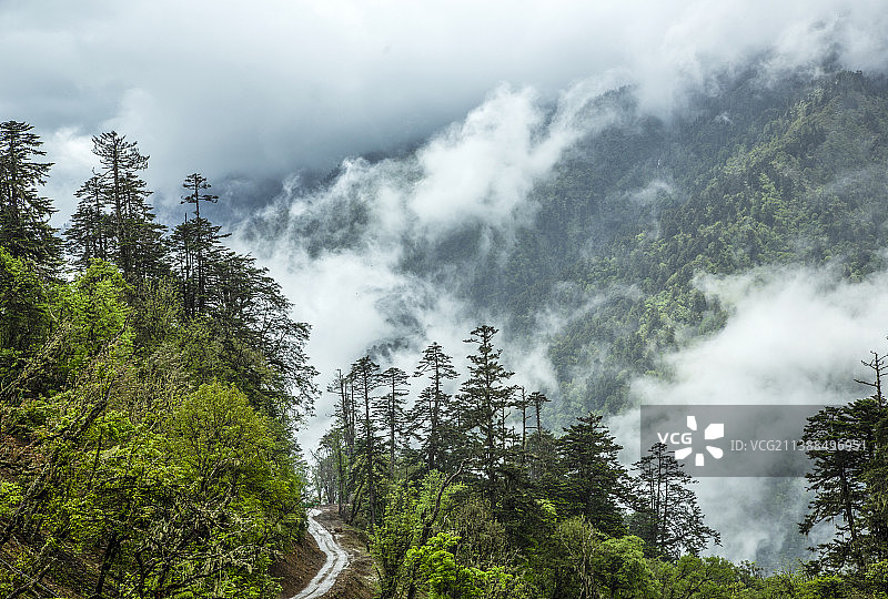 丙察察---丙中洛云岭孔雀山风光图片素材