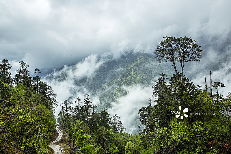 丙察察---丙中洛云岭孔雀山风光图片素材