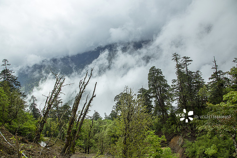 丙察察---丙中洛云岭孔雀山风光图片素材