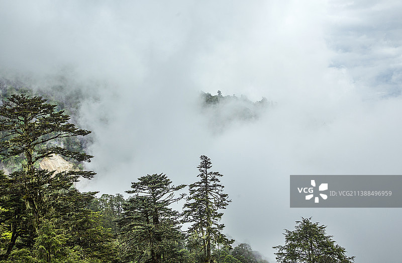 丙察察---丙中洛云岭孔雀山风光图片素材