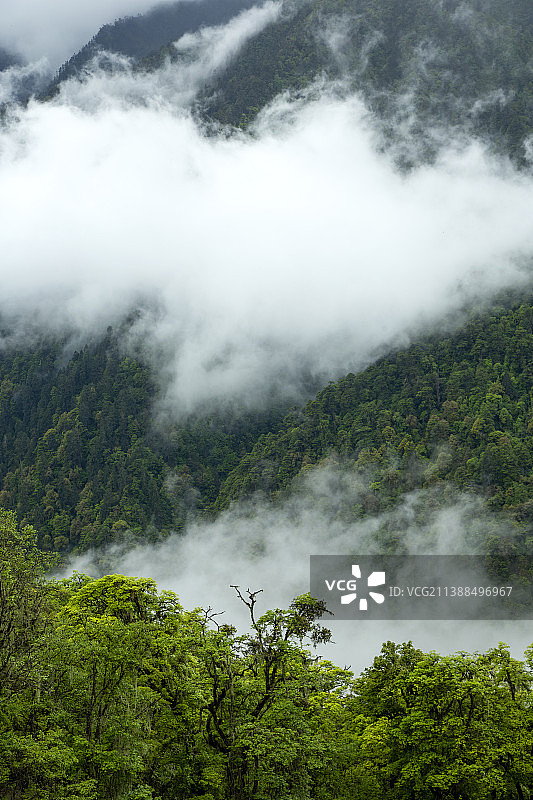 丙察察---丙中洛云岭孔雀山风光图片素材