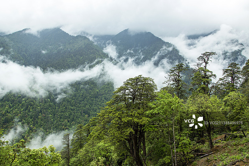丙察察---丙中洛云岭孔雀山风光图片素材