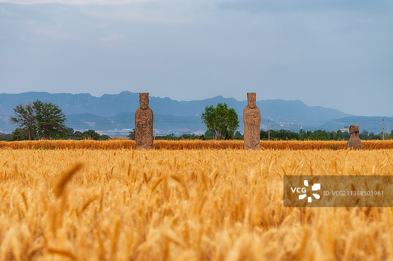 全国重点文物保护单位河南郑州巩义宋陵太宗·元德李后（贤妃）陵夏季芒种时节户外风光图片素材