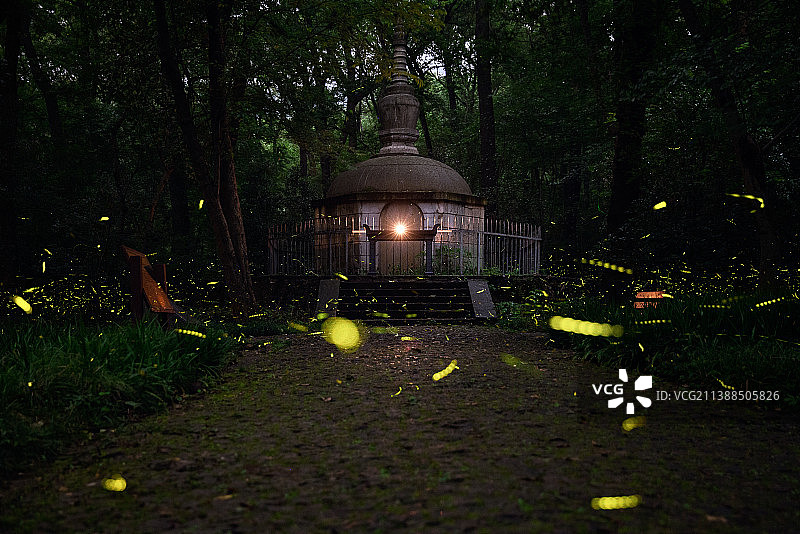 灵谷寺夏日萤火虫图片素材