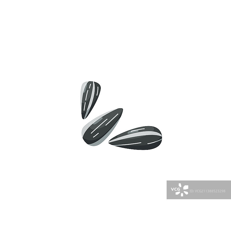 三颗葵花籽图片素材