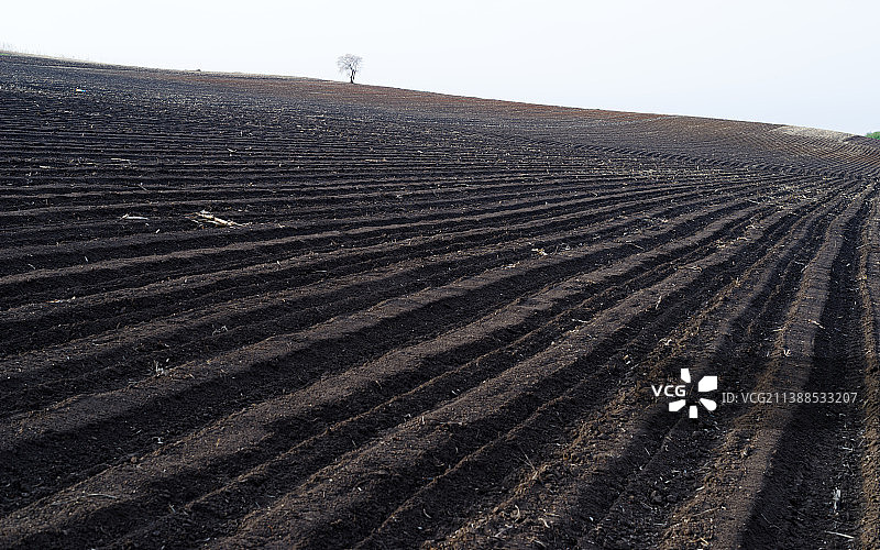 黑土地图片素材