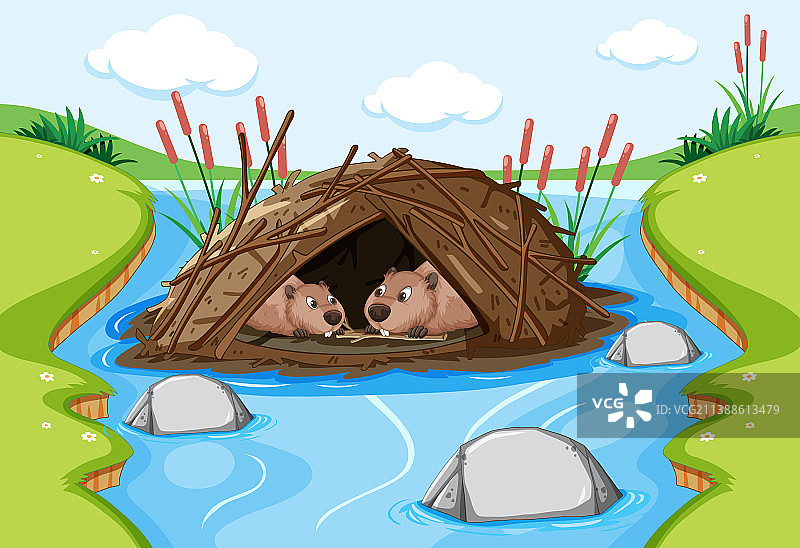 海狸栖息的森林场景图片素材