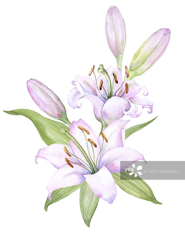 白色百合粉色百合花花束图片素材