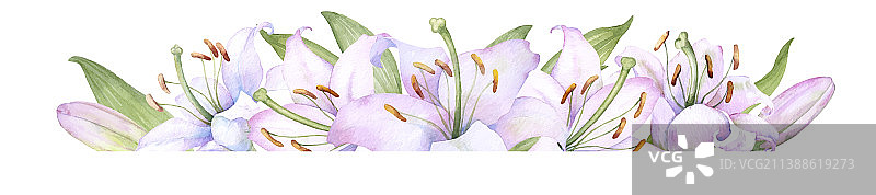 白色百合粉色百合花花束图片素材