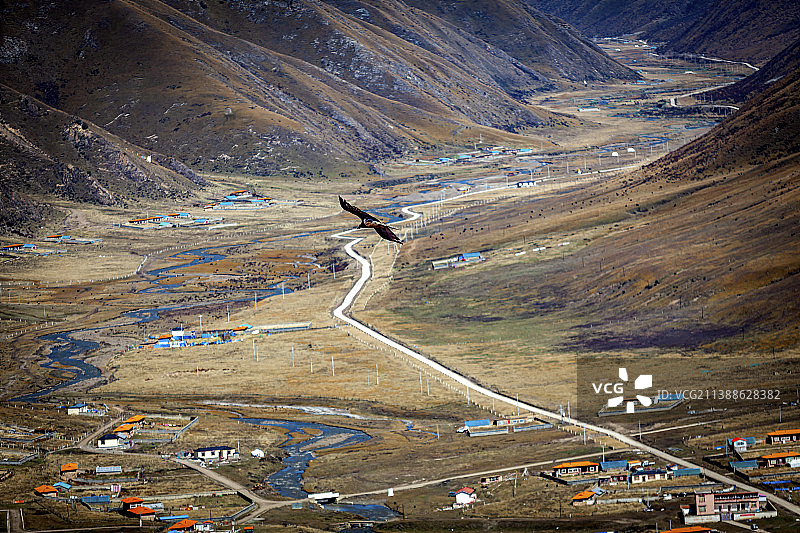 雄鹰展翅飞向山谷图片素材