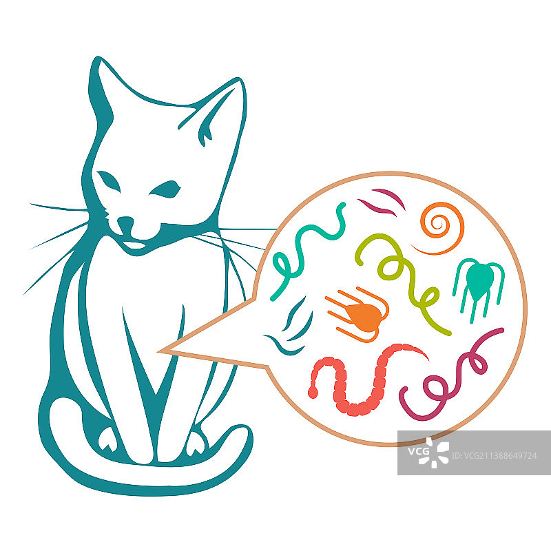 猫狗寄生虫肠虫类型图片素材