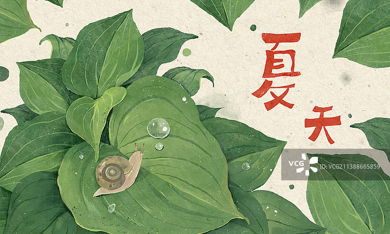 夏天插画嬉戏的孩子和叶子 蜗牛图片素材