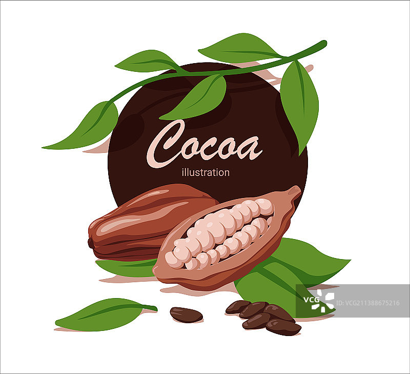 卡通风格的新鲜可可豆与叶子图片素材