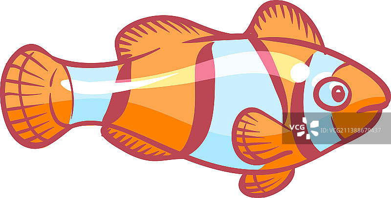 闪亮条纹热带水族箱小丑鱼图片素材