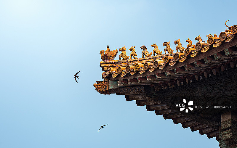 故宫脊兽与皇家飞燕图片素材