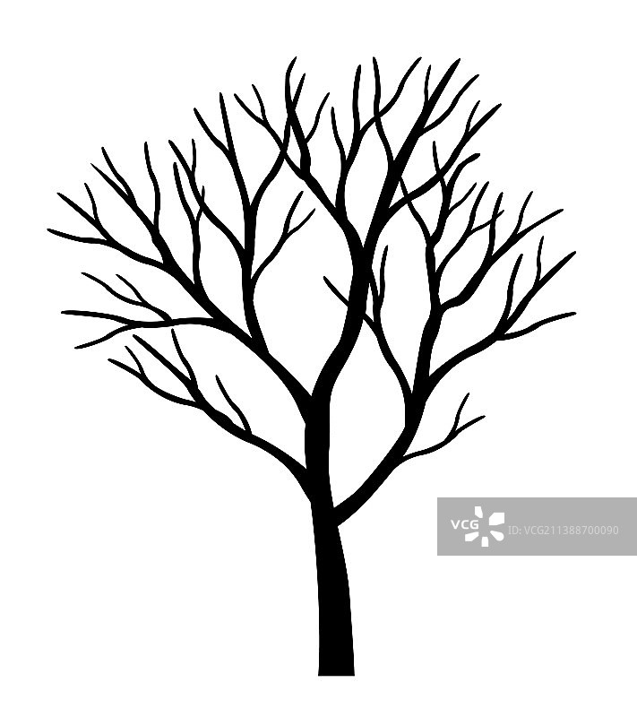 无叶黑色树木轮廓图片素材