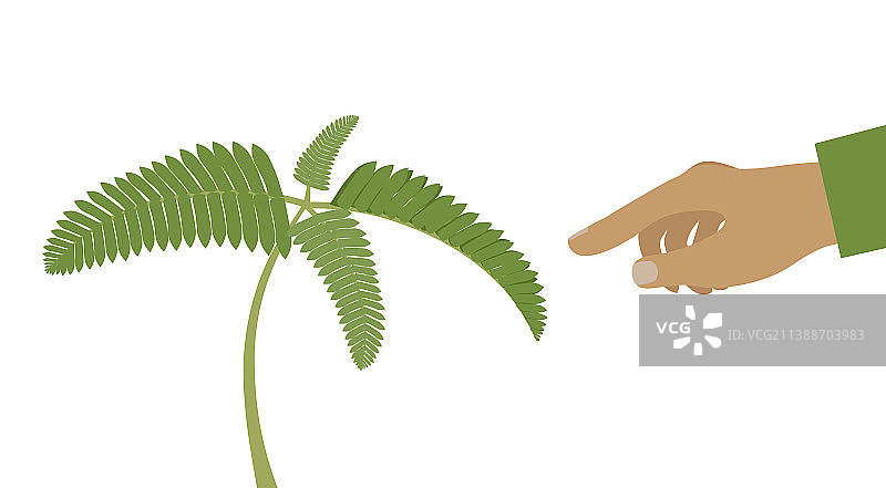 趋性运动图片素材