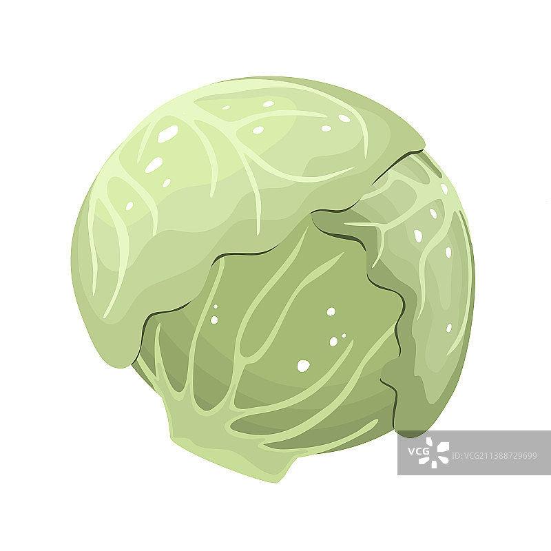 冰山生菜卡通图标图片素材