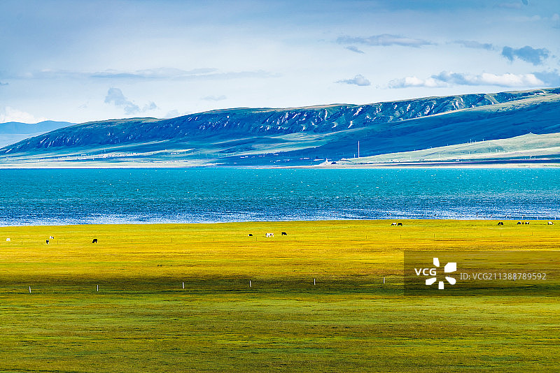 青海湖畔风光图片素材