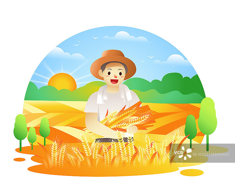 秋天新农村户外稻田丰收的场景图片素材