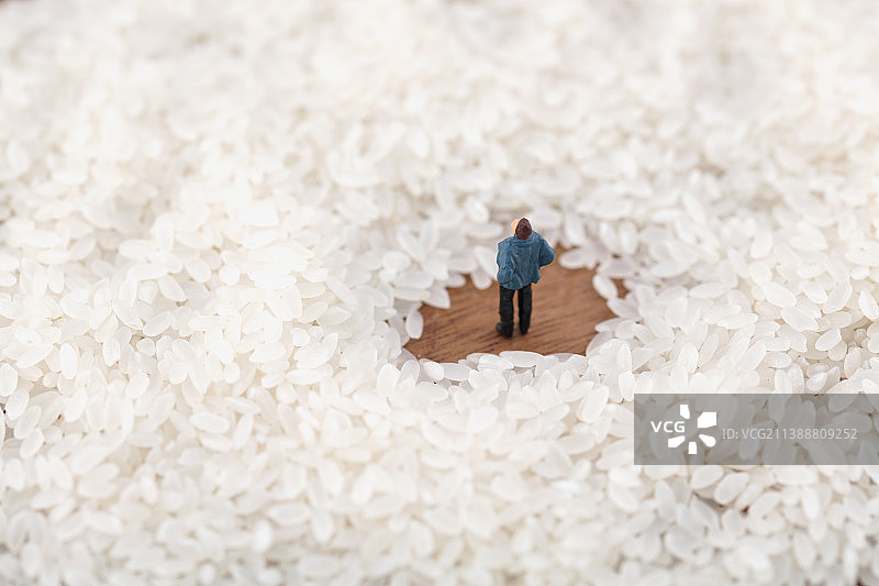 微缩世界大米主食图片素材