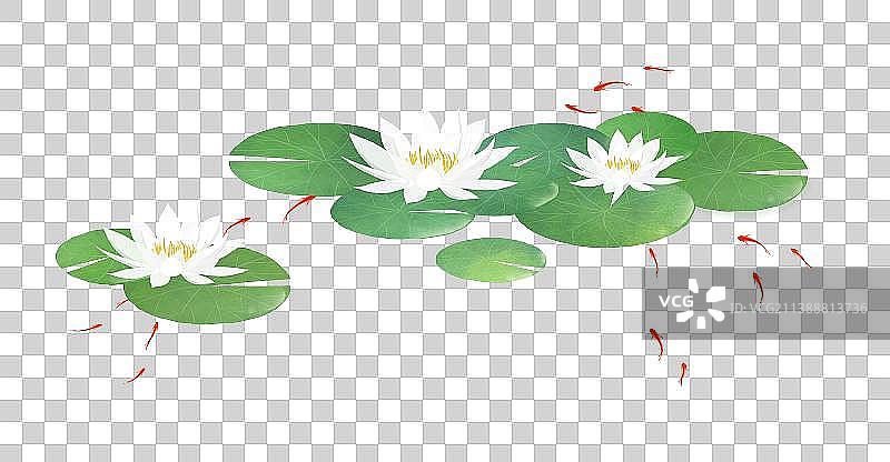 夏季池塘莲花鱼素材图片素材
