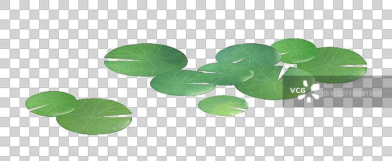 荷叶素材图片素材