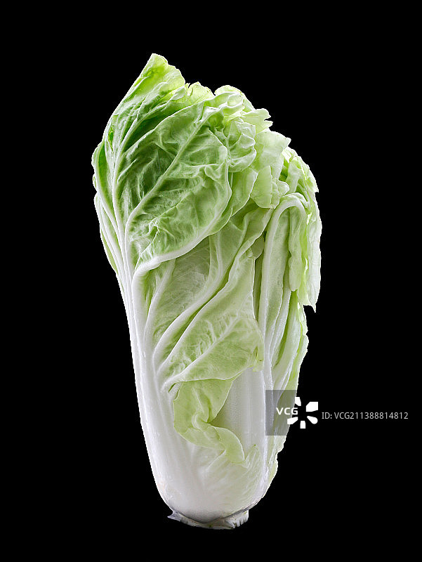 黑色背景上的蔬菜大白菜特写图片素材