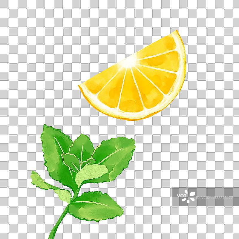 柠檬切片与薄荷图片素材