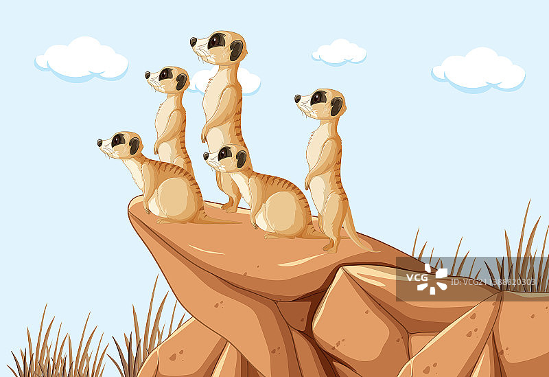 一群猫鼬的沙漠背景图片素材