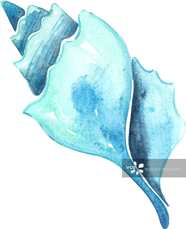蓝色牡蛎和珍珠水彩画图片素材