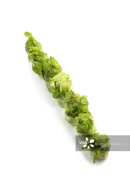 新鲜的儿菜静物图片素材