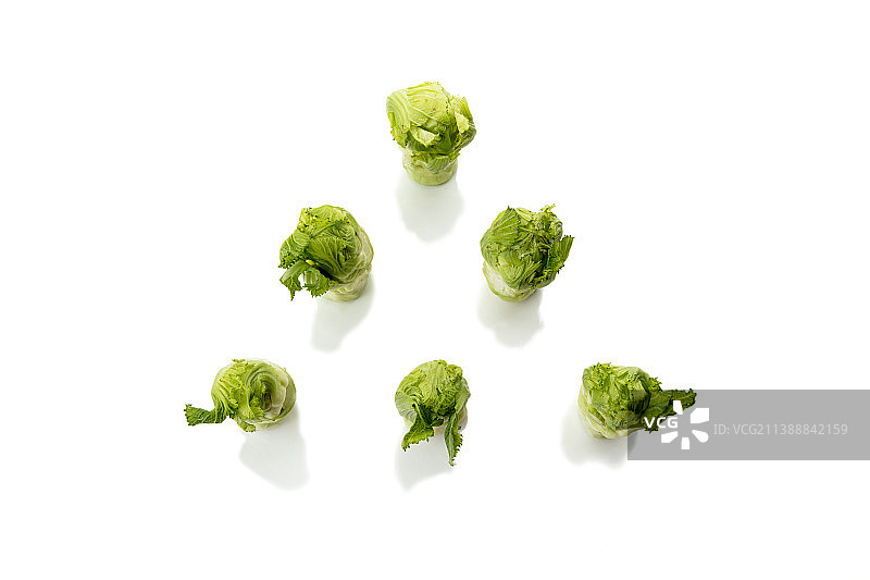 新鲜的儿菜静物图片素材