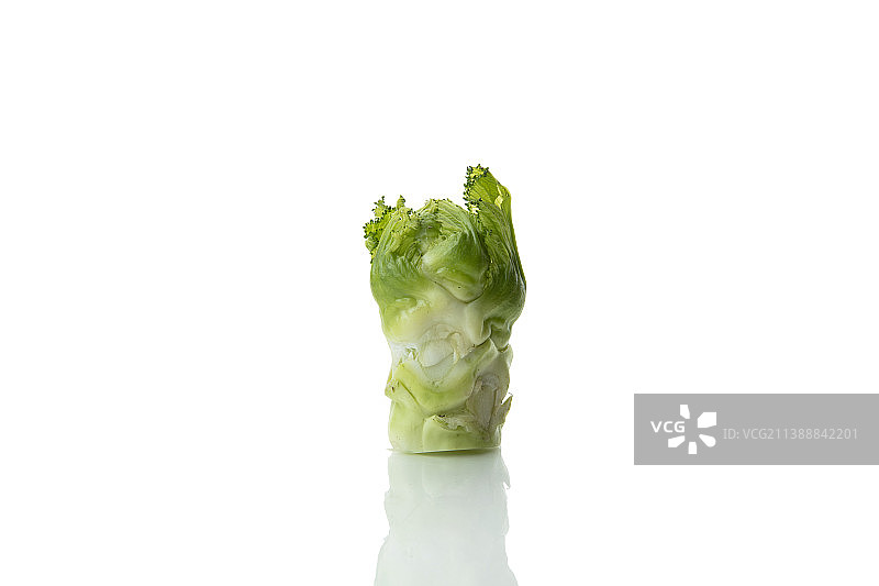 新鲜的儿菜静物图片素材