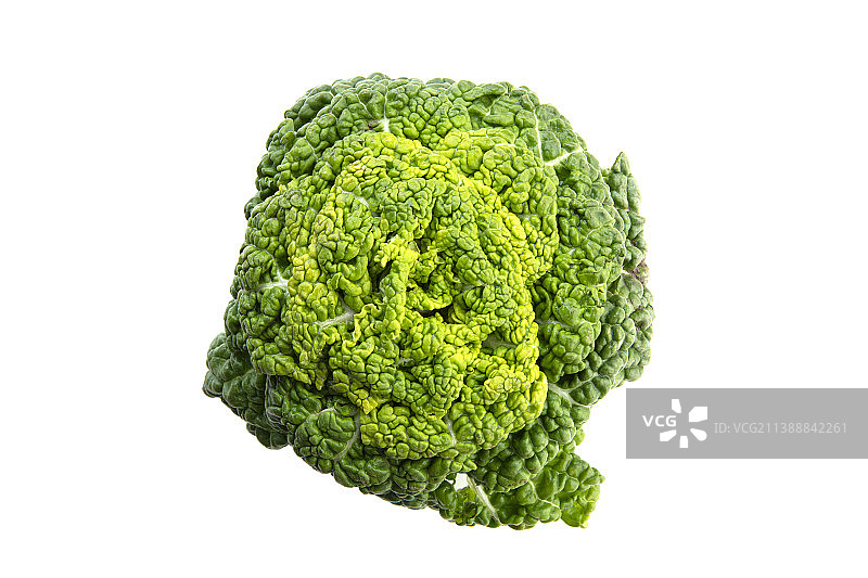 新鲜的卷心乌塌菜图片素材