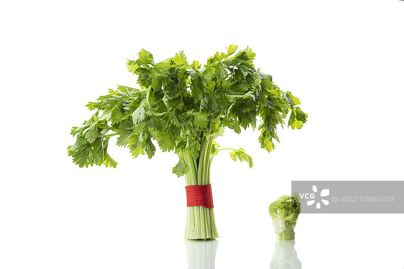 芹菜和儿菜图片素材