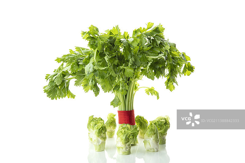 芹菜和儿菜图片素材