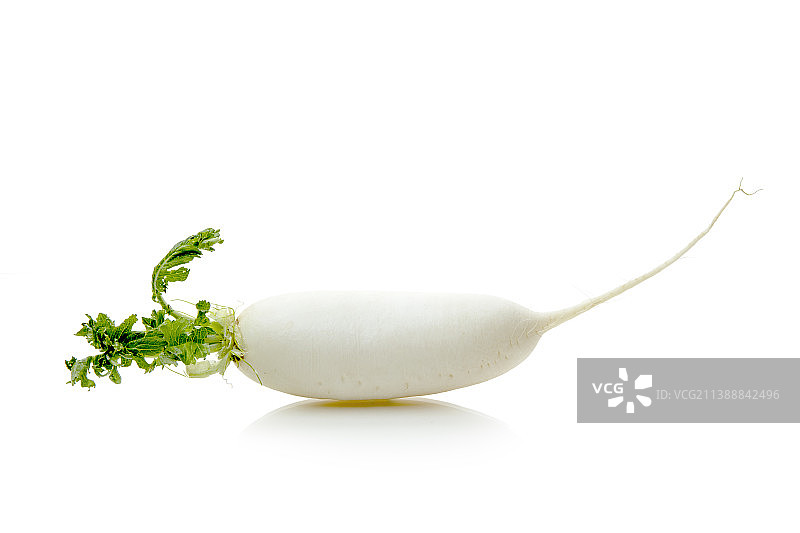 新鲜的白萝卜图片素材