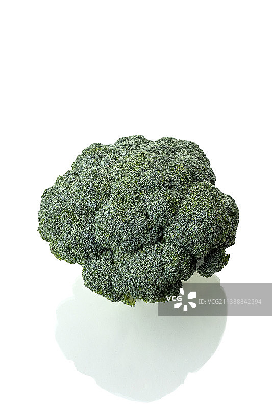 西兰花静物图片素材