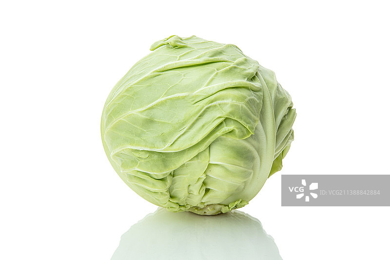 圆白菜静物图片素材
