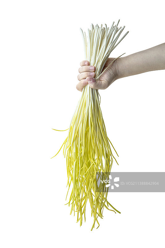 韭黄静物图片素材