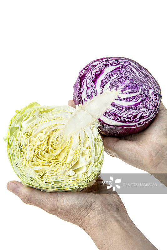 卷心菜和紫甘蓝静物图片素材