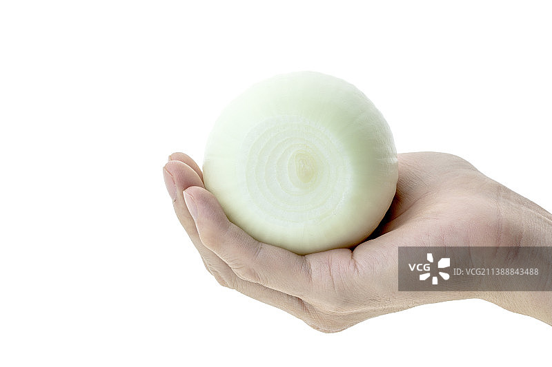新鲜的白色洋葱图片素材