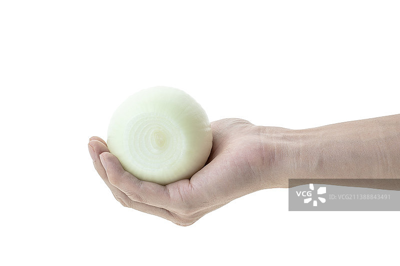 新鲜的白色洋葱图片素材