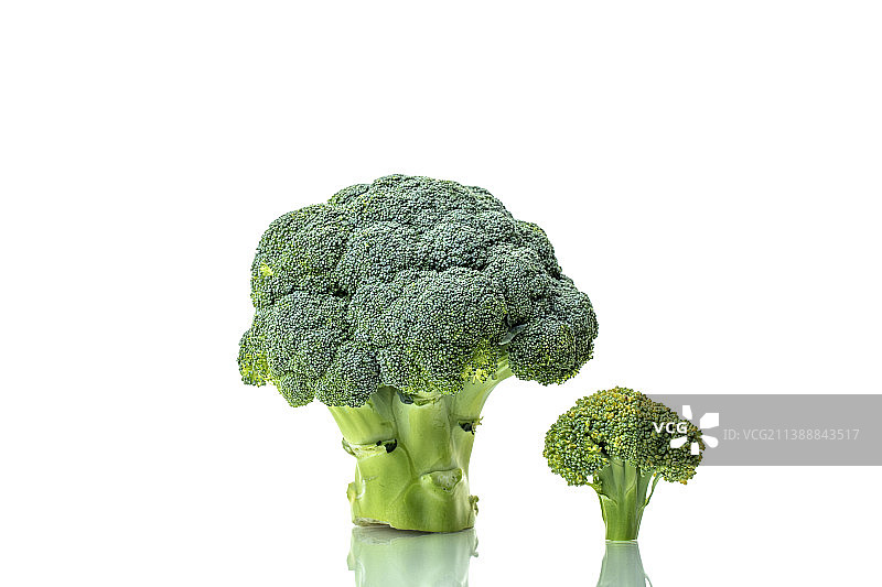 西兰花静物图片素材