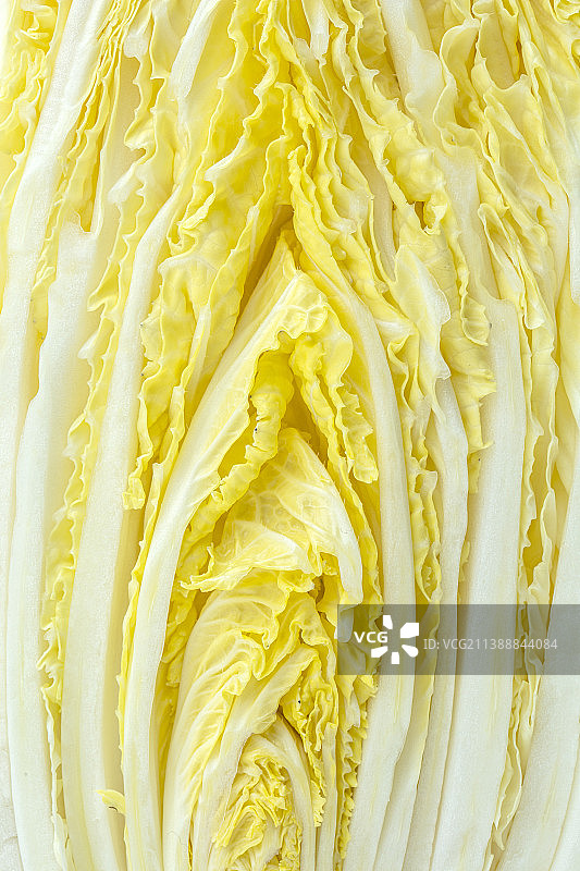 切开的白菜静物特写图片素材