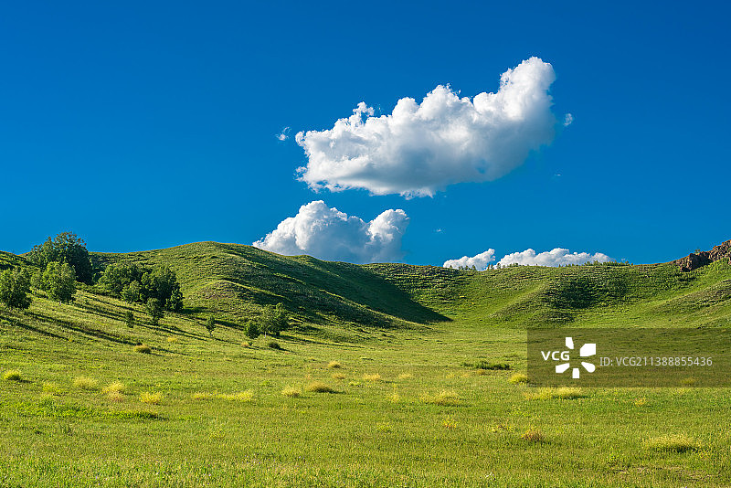 夏日草原，蓝天白云下的牧场图片素材