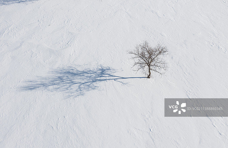 航拍雪地树木图片素材