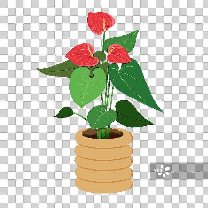 可爱的植物1图片素材