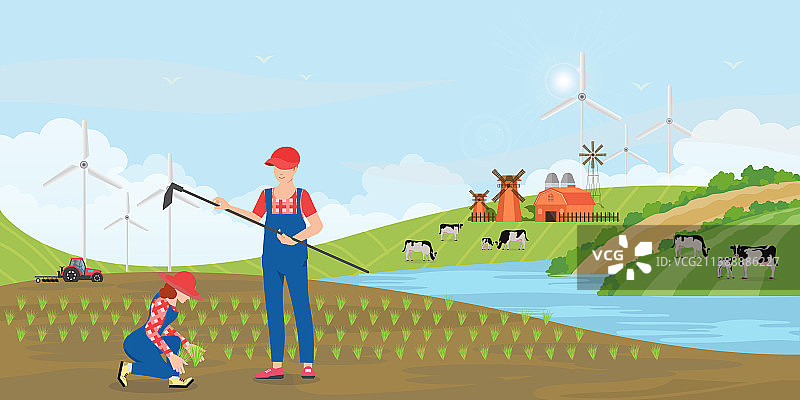 农民夫妇种植秧苗图片素材